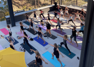 Photo of yoga event. People in Solvero's Patio in warrior two position